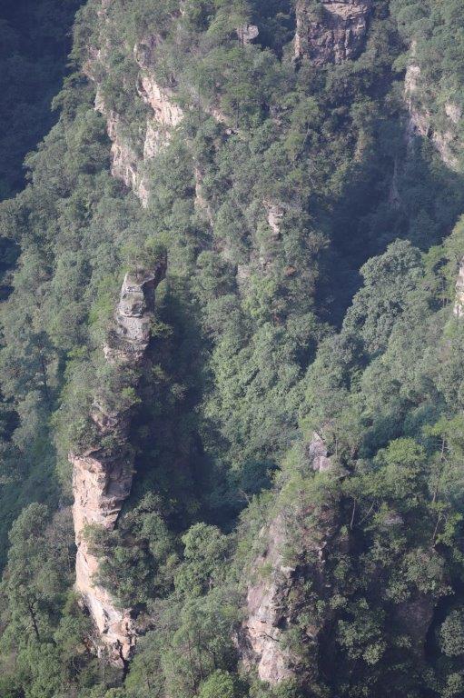 YuanjiajieE (39)