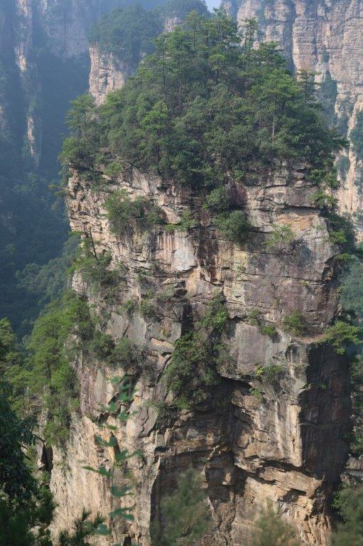 YuanjiajieE (64)