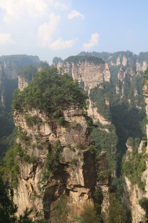 YuanjiajieE (65)