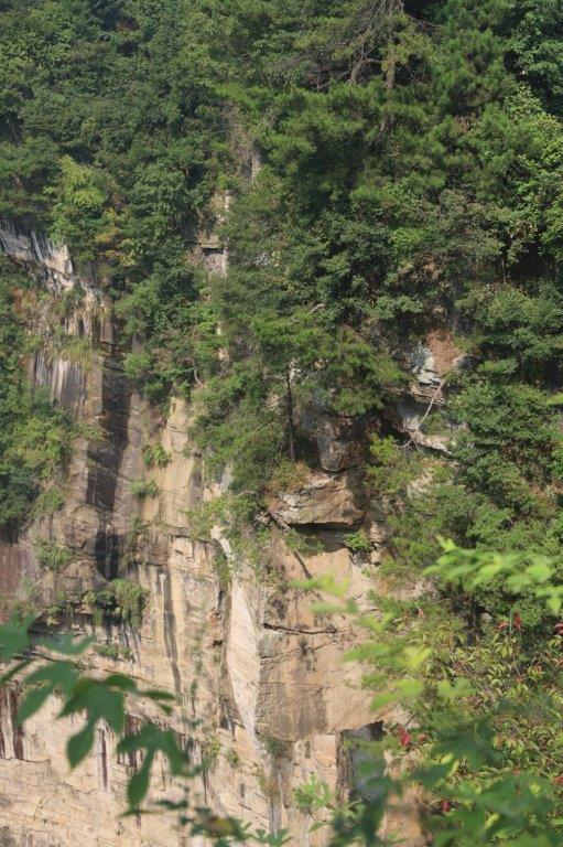 YuanjiajieE (68)