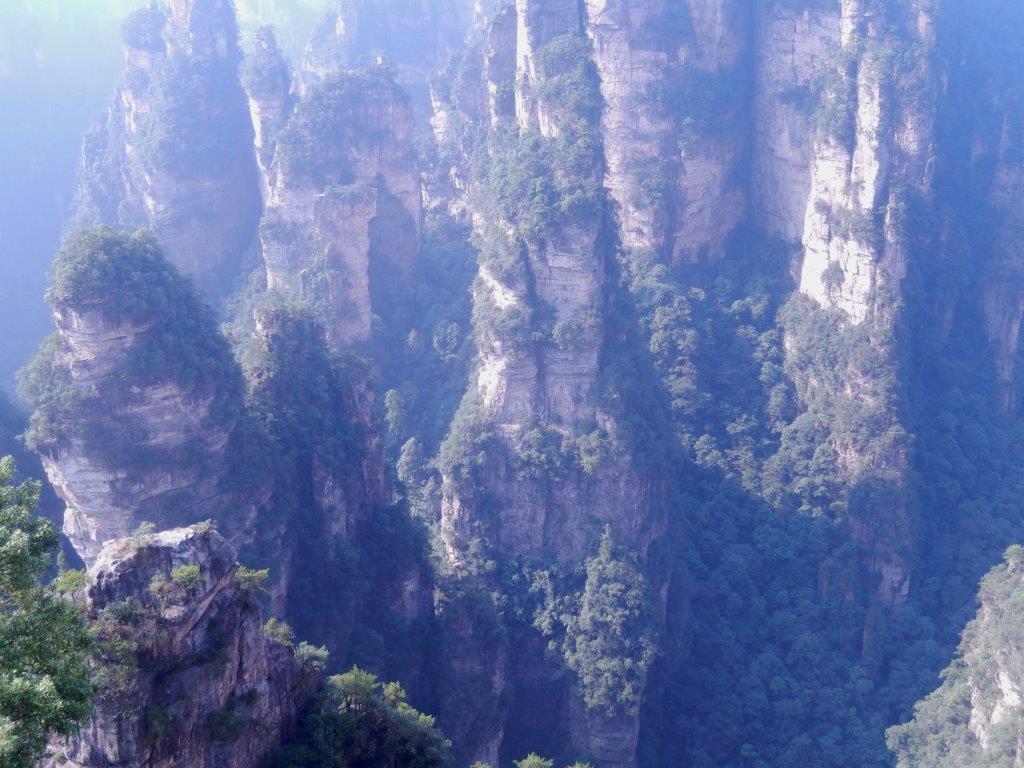 YuanjiajieE (73)