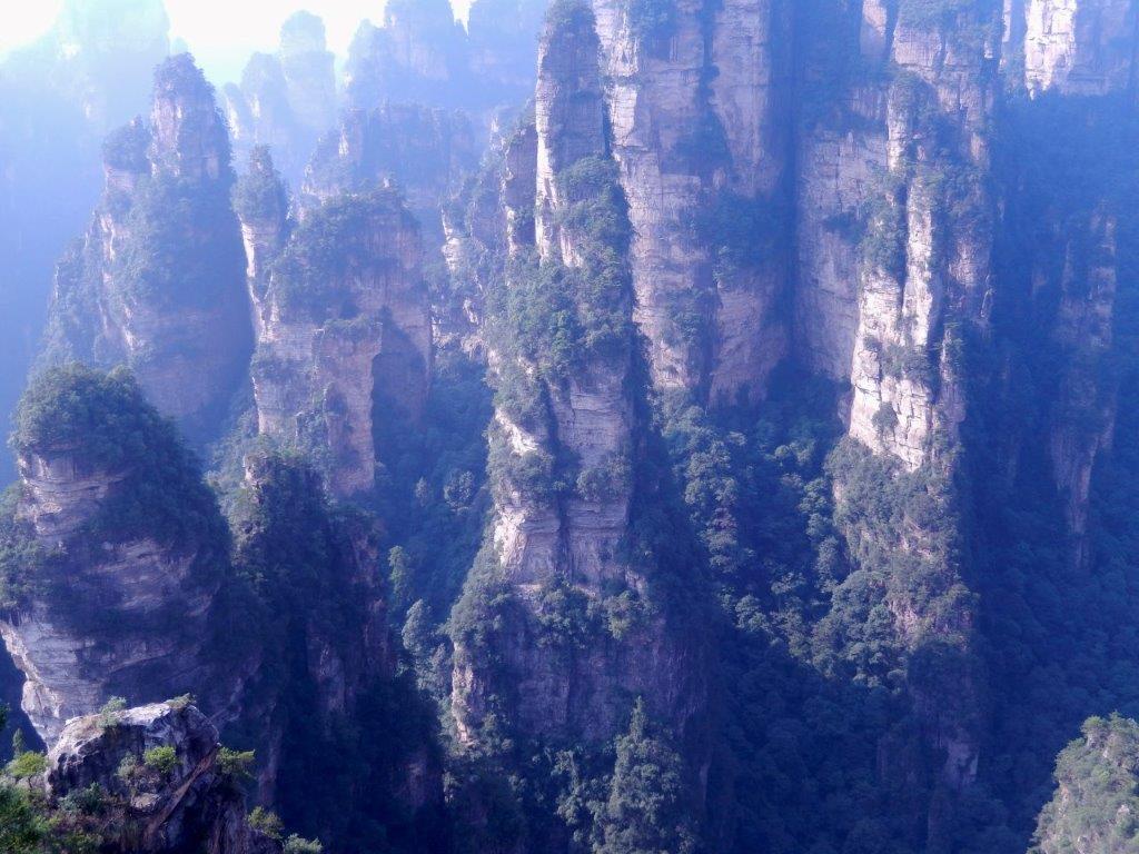 YuanjiajieE (74)