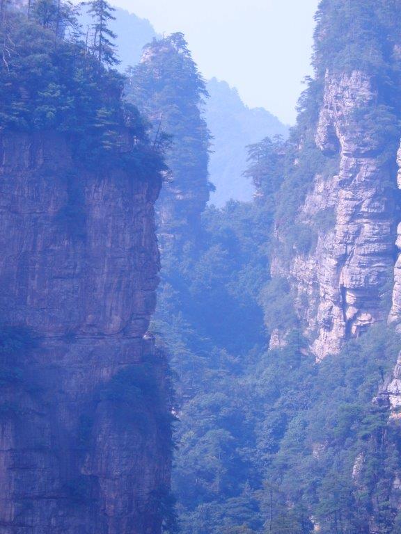 YuanjiajieE (77)