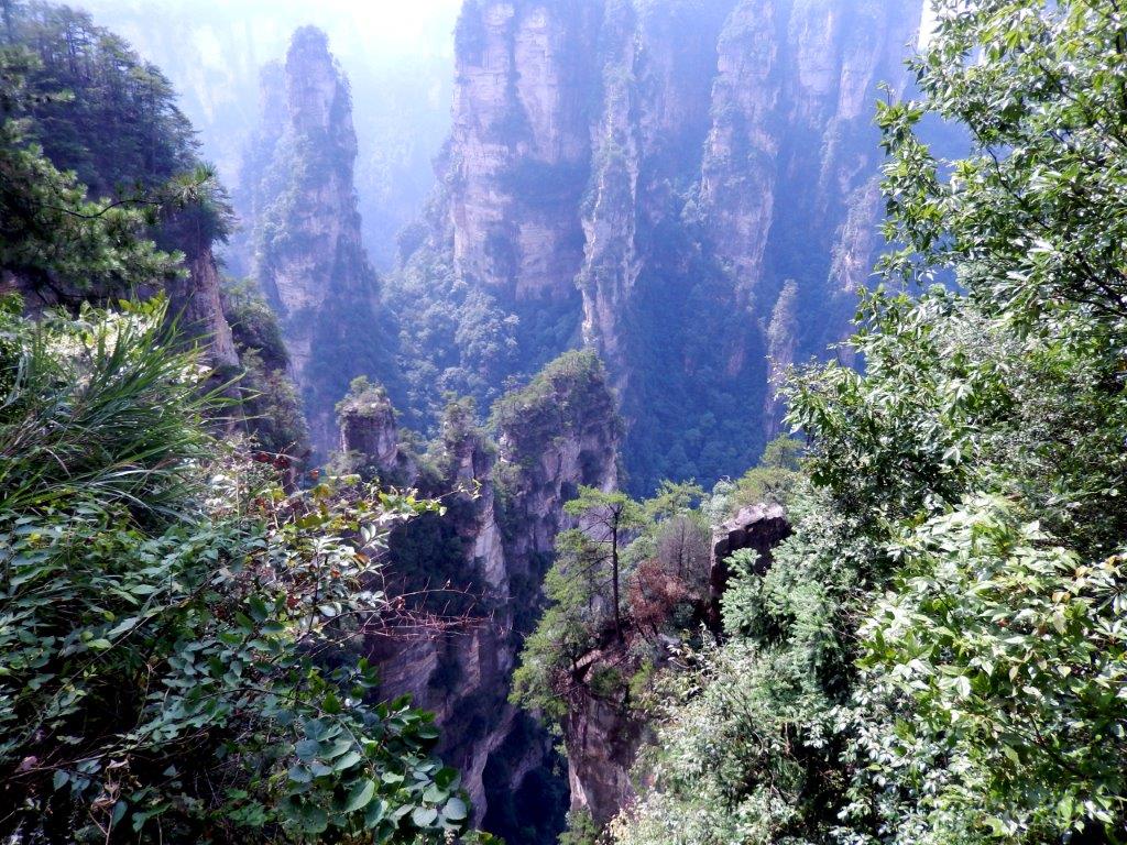 YuanjiajieE (89)