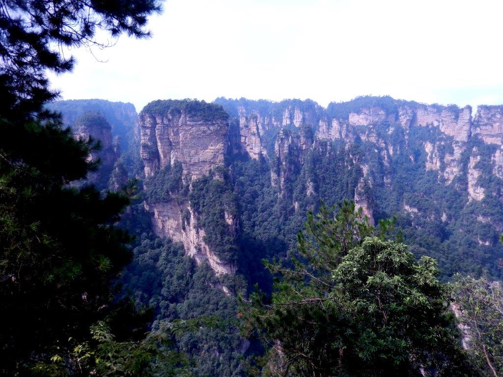 YuanjiajieE (91)