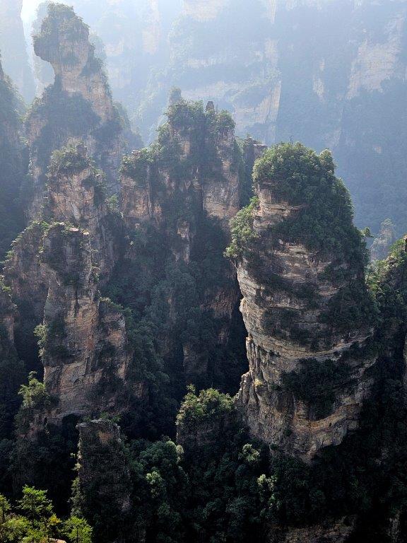 YuanjiajieM (27)