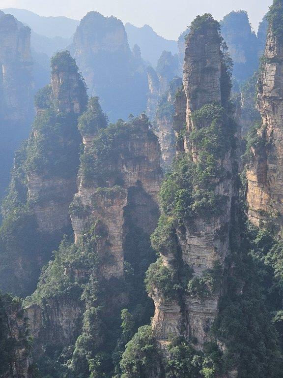 YuanjiajieM (4)