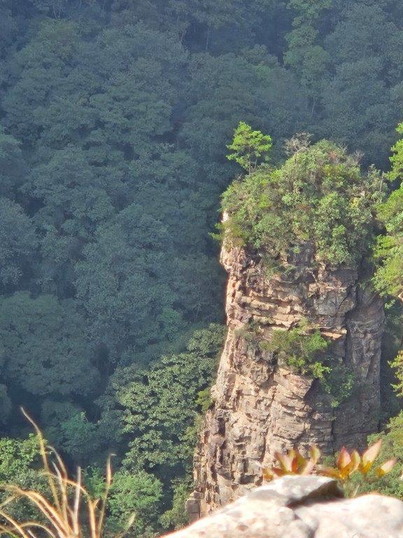 YuanjiajieM (6)