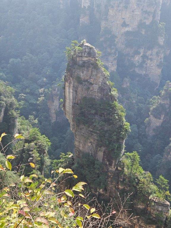 YuanjiajieM (7)