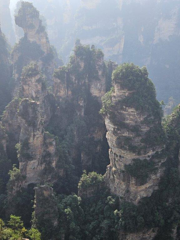 YuanjiajieM (8)