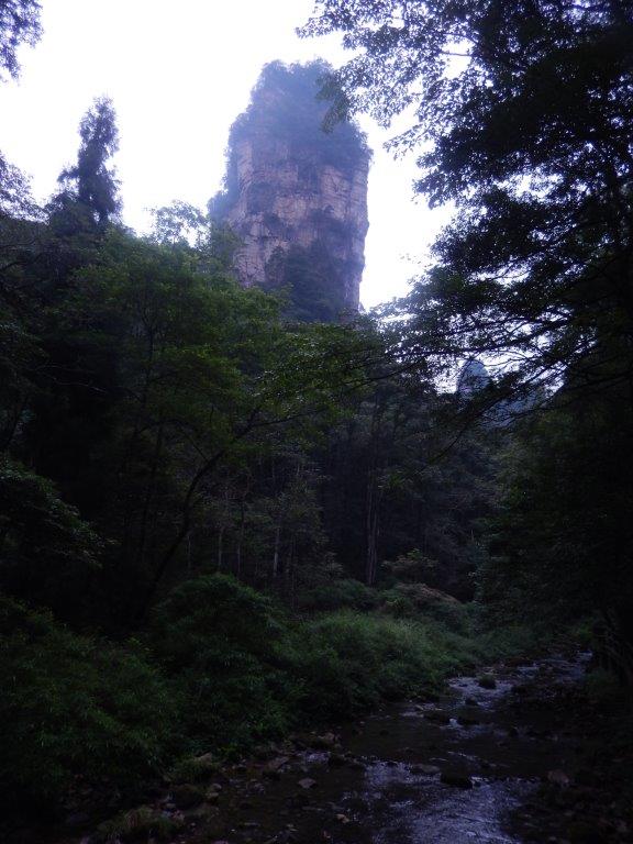 GoldenWhipStreamC (11)