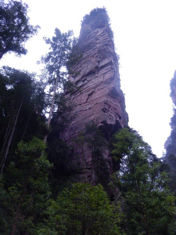 GoldenWhipStreamC (14)