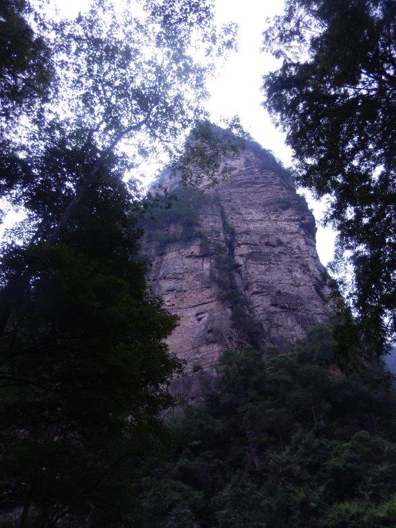 GoldenWhipStreamC (21)