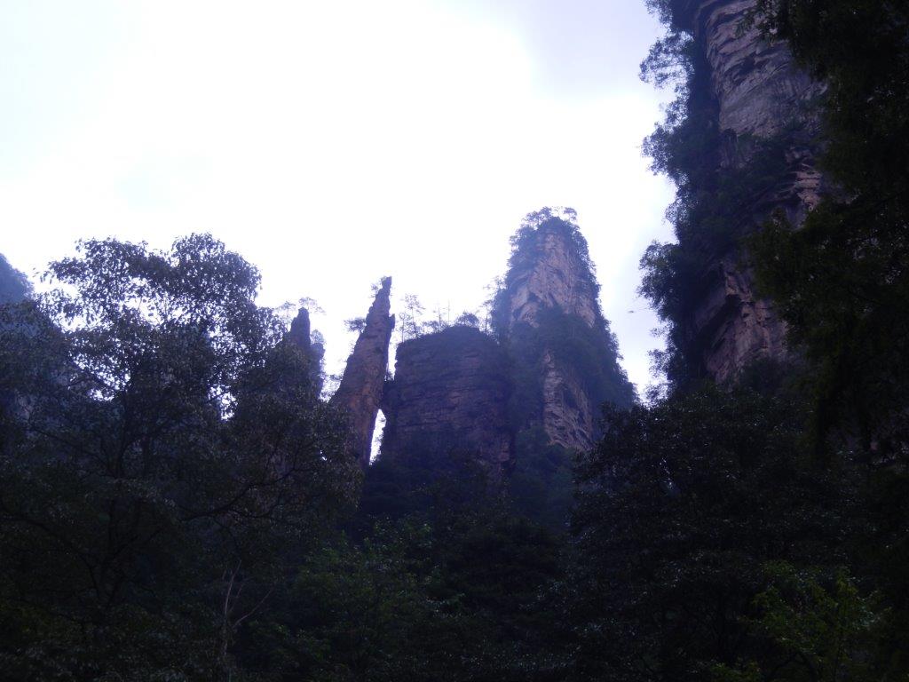 GoldenWhipStreamC (24)