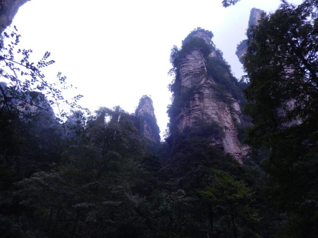 GoldenWhipStreamC (25)