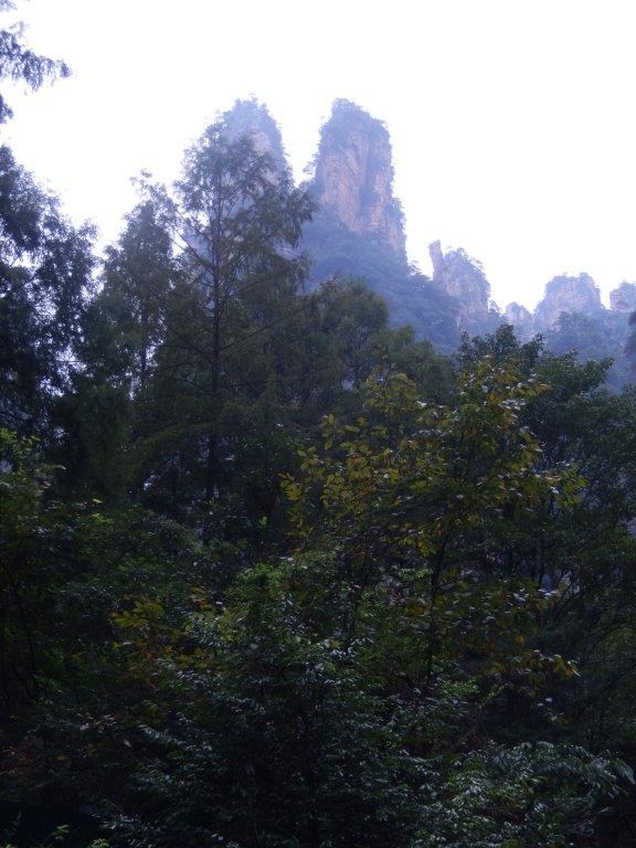GoldenWhipStreamC (28)