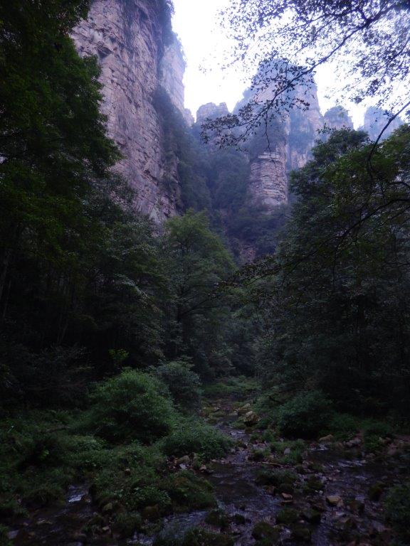 GoldenWhipStreamC (30)