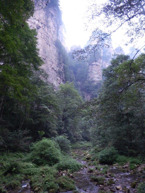 GoldenWhipStreamC (31)