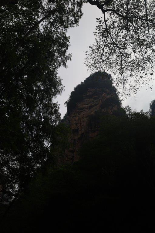 GoldenWhipStreamE (15)