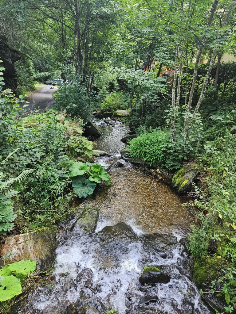 Monschau13082023M (33)