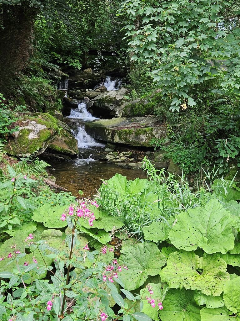 Monschau13082023M (34)