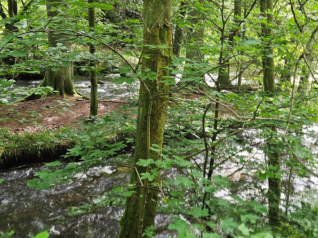 Monschau Monastery Walk (20)