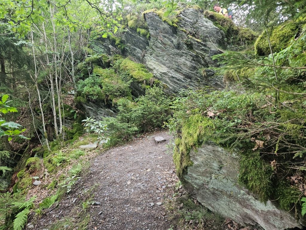 Monschau Monastery Walk (59)