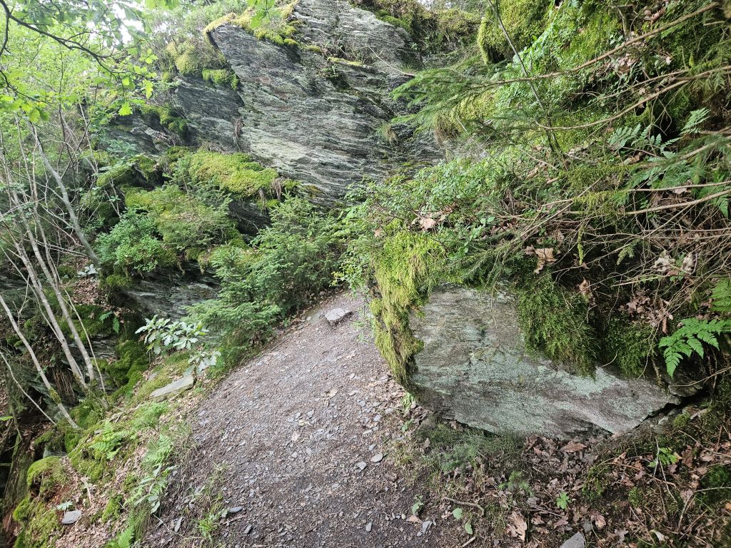 Monschau Monastery Walk (60)