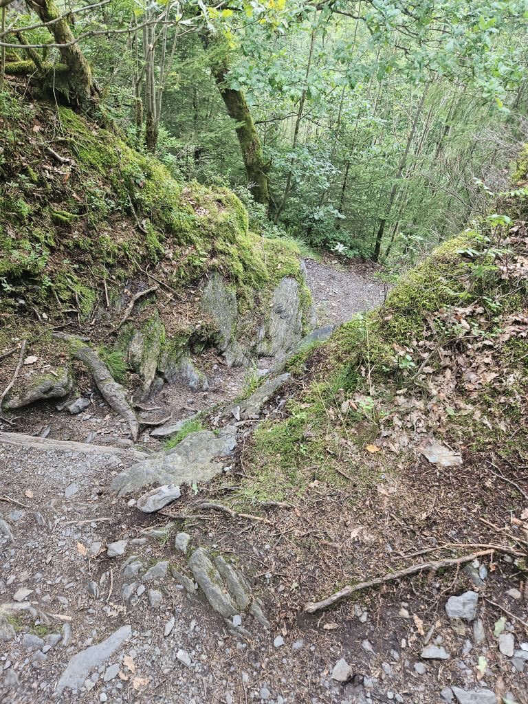 Monschau Monastery Walk (61)