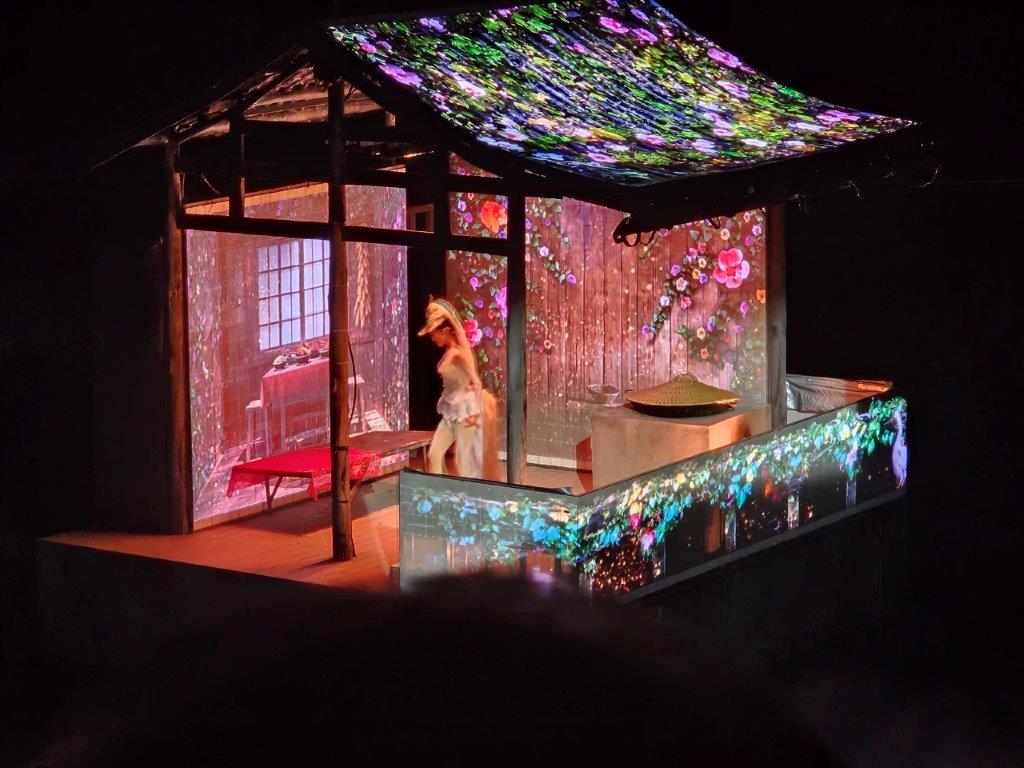 Fox Lady ShowM (22)
