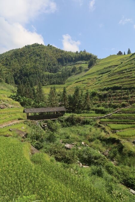 Longji VillageE (11)