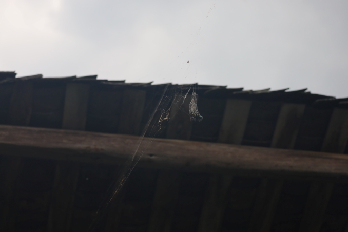 Longji VillageE (41)