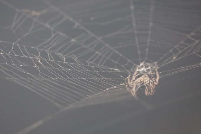 Longji VillageE (44)